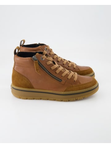 Paul Green Sneaker high in Braun