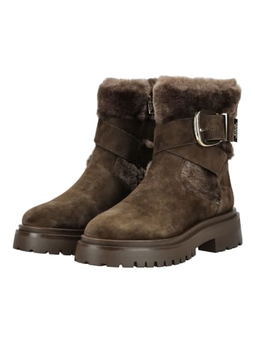 Steve Madden Stiefelette Braun