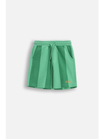 Coccodrillo Kurze Baumwollshorts in grün