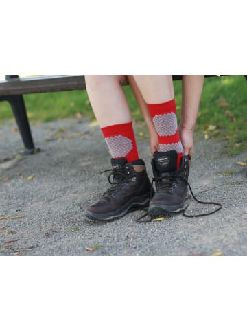 JD J. Dirks All Season-Coolmax-Trekking-Outdoor-Socken lang OD39M in rot (21)