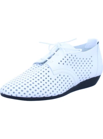 Arche Schnürschuh in weiß