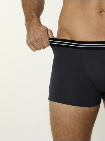 Nur Die  Boxer Cotton Stretch in assorted 1