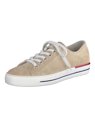 Paul Green Sneaker in Sand