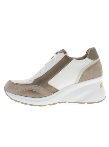 Armata di Mare Sneaker AMDS61H19-WHITE-BRASS Weiß