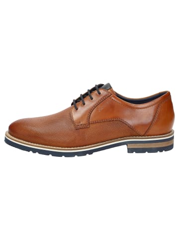 Sioux Schnürschuh Rostolo-704 in cognac