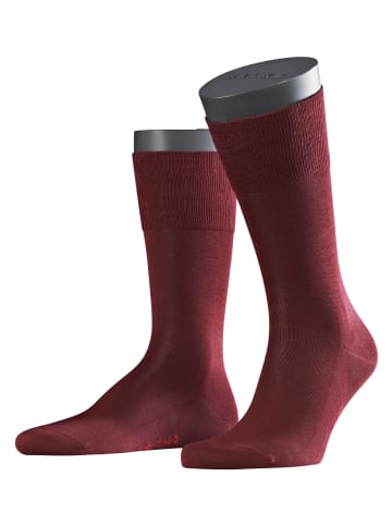 Falke Socken Tiago in Barolo