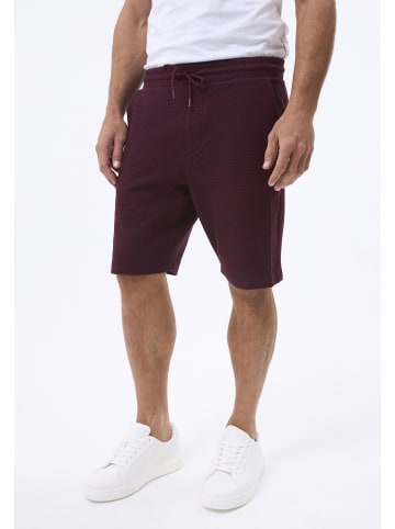 Felix Hardy Jogger Short in Bordeaux