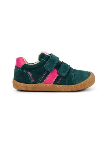 KOEL Sneaker Low DENIS SUEDE 3.0 in türkis