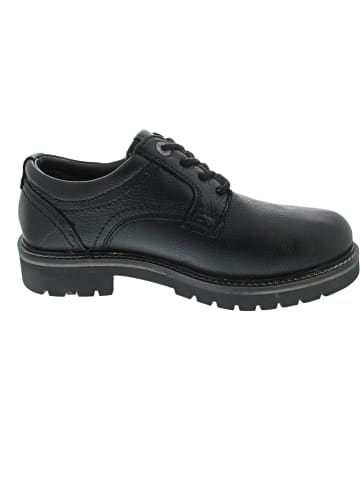 Camel Active Schnürer Schwarz