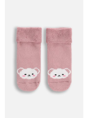 Coccodrillo Socken in rosa