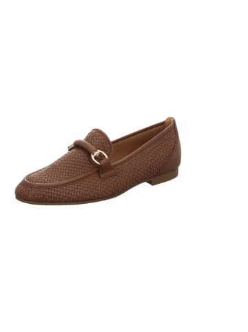 Gabor Trotteur in braun