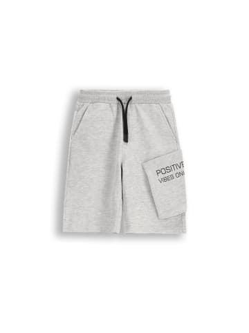 Coccodrillo Kurze Shorts in grau