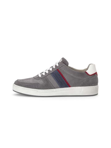 Pius Gabor Sneaker low in grau