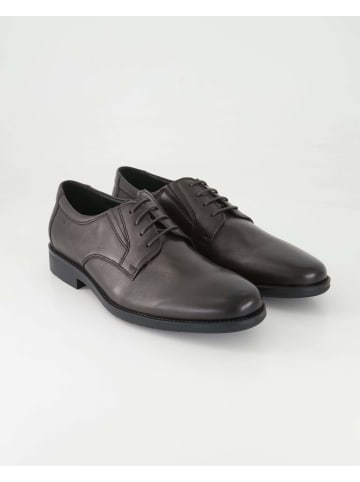 DIGEL Anzug- & Businessschuhe in Braun