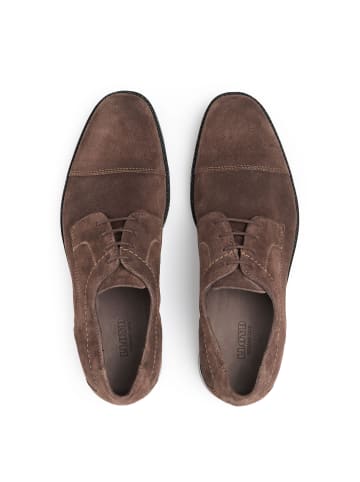 LLOYD Schuhe Schnürhalbschuh in BRAUN