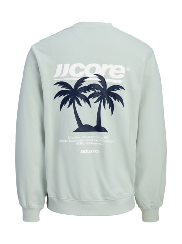 JACK & JONES Junior Sweatshirt 'Club Summer' in grau