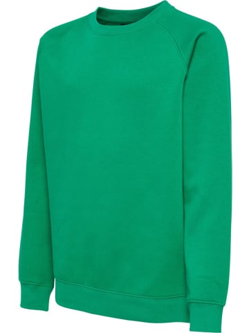Hummel Kinder Sweatshirt in Multicolor