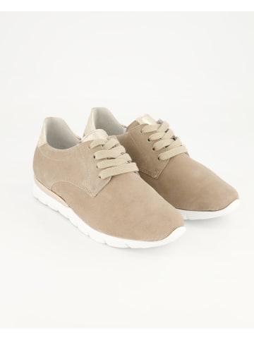 Semler Schnürschuhe in Beige