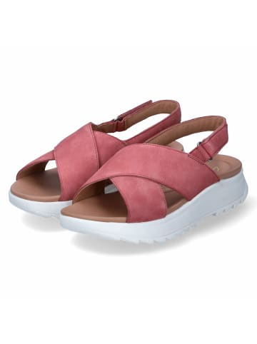 Clarks Sandalen DASHLITE WISH in Rosa