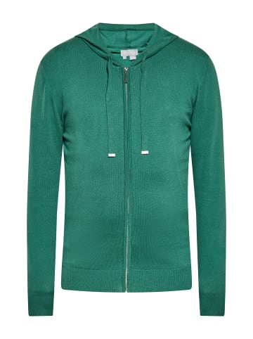 boline Herren Cardigan in GRÜN