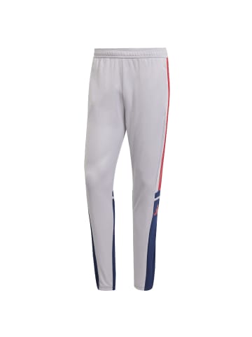 adidas Trainingshose im 3 Streifen Design in Grau