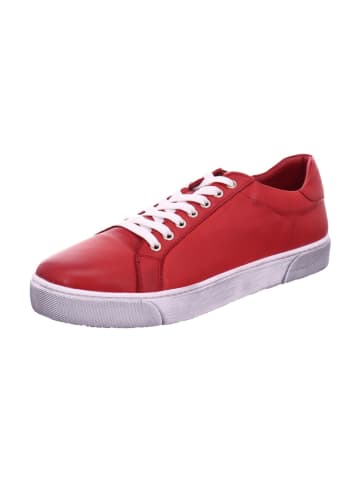 Esgano Herrenschnürschuhe halb sportlicher Boden ( Standard )  in  Rot
