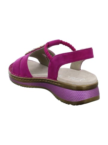 ara Komfort Sandalen in Pink