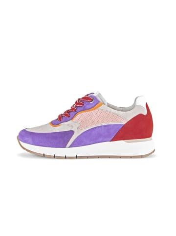 Gabor Comfort Sneaker low in multicolour