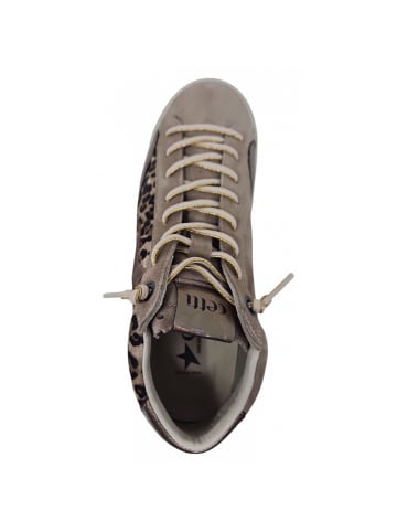 Cetti sportlicher Schnürer Ante LEO in Beige