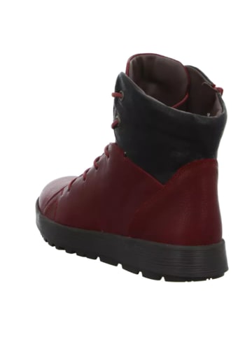 Think! Schnür-Stiefeletten für Damen in bordeaux