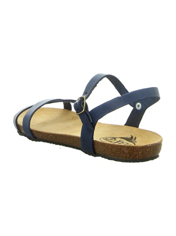 Plakton Sandalen in Blau