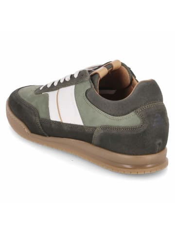 Bullboxer Schuh in grün