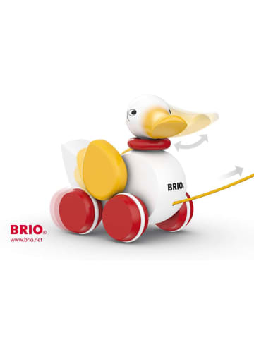 Brio Aktionsspiel BRIO Infant/ Toddler - Nachziehente, weiß Ab 19 Monate in bunt