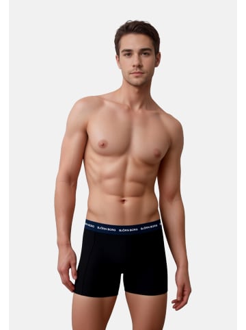 Björn Borg Boxershorts in mehrfarbig
