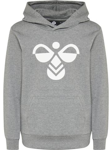 Hummel Kinder Hoodie in Grau