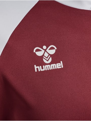 Hummel T-Shirt "Match League Jersey S/S" in Rot