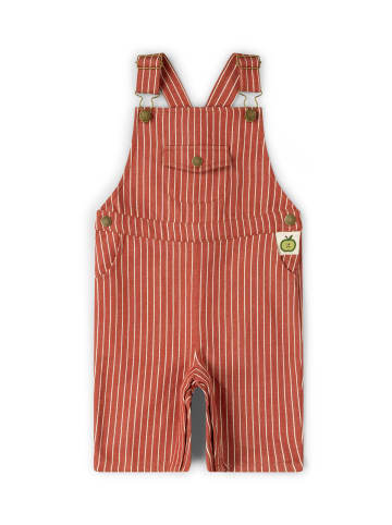 Little Green Radicals Latzhose Shorts in Rot