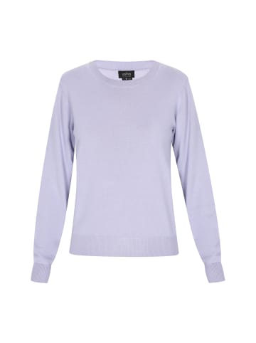 usha BLACK LABEL Sweater in light blue