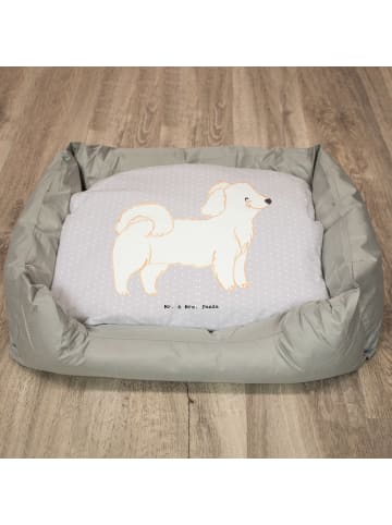 Mr. & Mrs. Panda Hundekissen Havaneser Lebensretter ohne Spruch in Grau Pastell