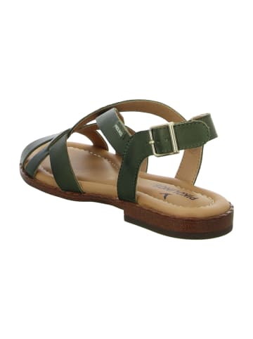 Pikolinos Riemchensandaletten in Grün