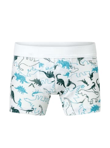 Schiesser Trunk Fine Rib Multi in sortiert 8