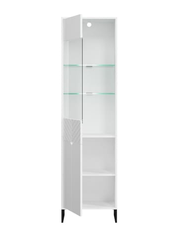 Feldmann-Wohnen Vitrine Caseres weiß | schwarz 50 / 38 / 184cm