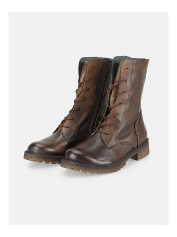 Felmini Stiefelette CASTER in Braun