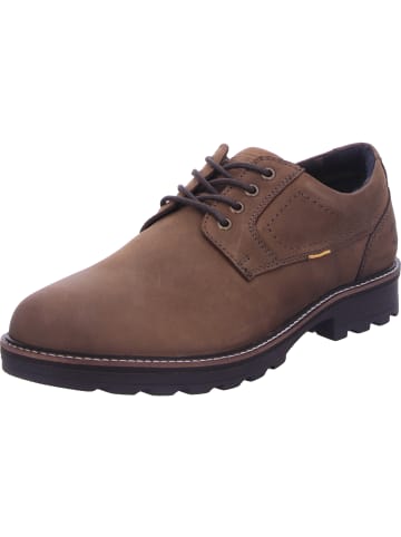 Camel Active Schnürschuh in braun