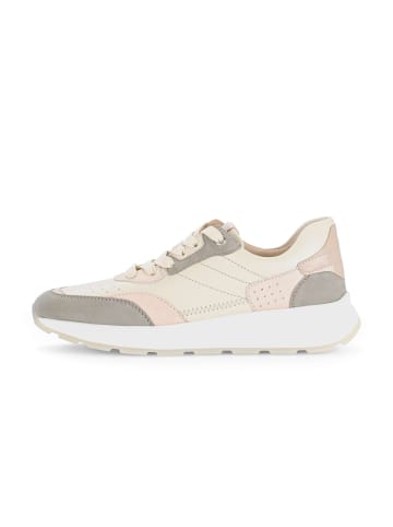 Gabor Sneaker low in grün
