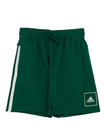 adidas Hose 3S Tape Shorts in Grün