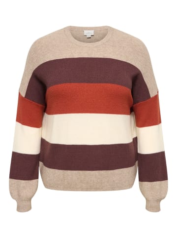 ONLY Carmakoma Strickpullover in Beige