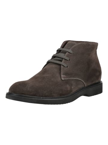 Nero Giardini Stiefelette in Carbon