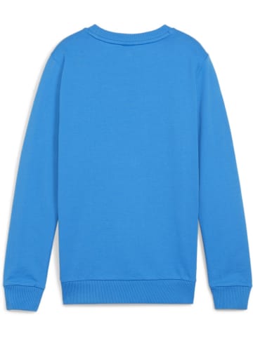 Puma Pullover "TeamGoal CasuaLongsleeve Crew Neck Sweat Jr" in Blau