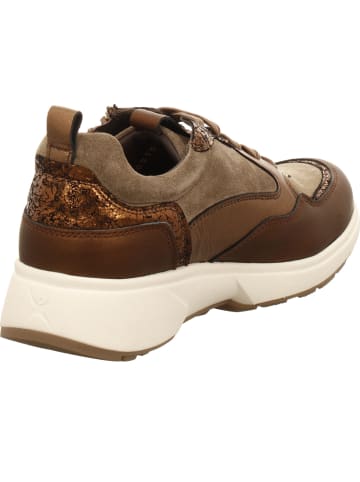 Xsensible Sneaker in braun